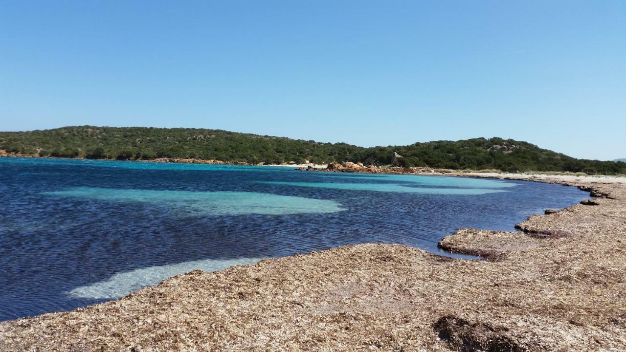 Casa Vacanze Della Maddalena Экстерьер фото