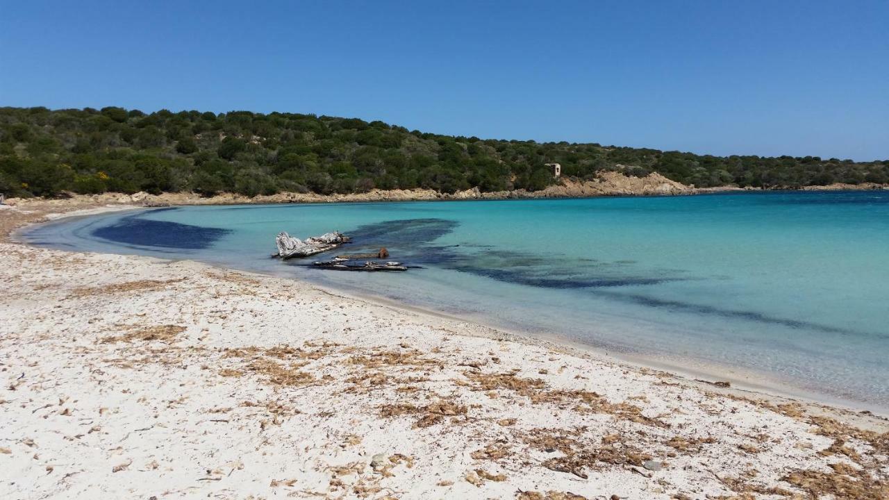 Casa Vacanze Della Maddalena Экстерьер фото